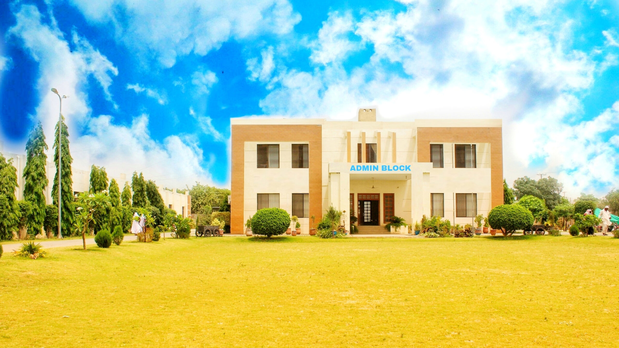 Students on campus